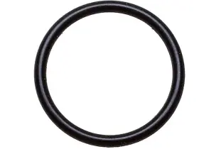 18553nzkx Ac Delco For 2006-2016 Chevrolet Express 3500 Oil Pump O-ring 2007