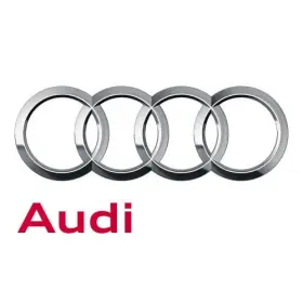 06k-115-243-ab Audi Genuine Control Solenoid