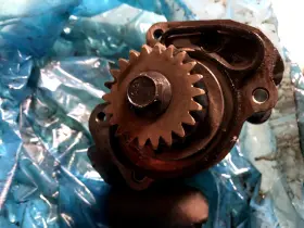 0440008201 Bosch 1842423c92 Oil Pump P05f10336 1842428c92 P1250390 #2