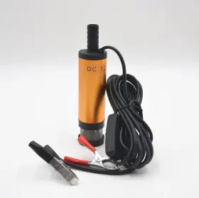 Eb-482 Budurerbest Electric Oil Pump Diesel Fuel Transfer With Filter For Automotive Farm