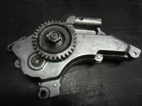 312.gm8z10 Chevrolet Truck Silvrdo35 2010 Oil Pump #2