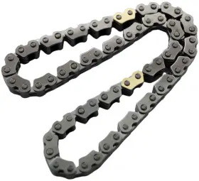 C931 Cloyes Gear & Product Engine Oil Pump Chain And
