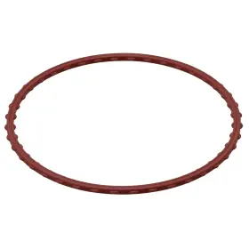 111.300 Elring Engine Oil Pump Gasket For Ford