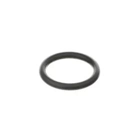 94011609 Gm 2001-2016 Engine Oil Pump Seal O-ring Genuine New Oem Part P/n
