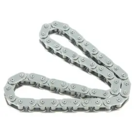 Zc0296 Ina Us Engine Oil Pump Chain