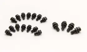 42173 Manley Oil Pan Bolt Set Bolts-sbc