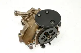 11417830026 Original Factory Genuine Engine Motor Fluid Oil Pump Gear Assembly Unit Oem Bmw E39 M5