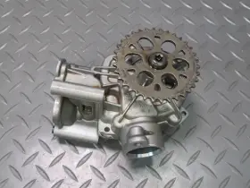 06m115p01 Porsche 17-23 Panamera 971 2.9l Engine Motor Oil Pump W Sprocket