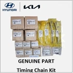 Genuine Oem Hyundai Kia Timing Chain Kit Cvvt Exhaust Intake Tensioner. Fixed Price $520.00.