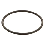 For Bmw X5 2000-2003 Genuine Oil Pump Pick-up Tube Gasket. Fixed Price $17.81.