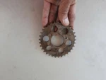 EAC6395 Gear For Engine Oil Pump Jaguar XJ6 XJ40. Fixed Price $44.50.