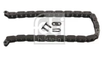 Febi Bilstein 25400 Chain, Oil Pump Drive For Audi Bmw Citro Mercedes-benz Little. Fixed Price $23.35.
