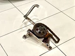 Genuine 078115121C Oil Pump Audi S6 C4. Fixed Price $105.23.