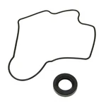 Engine Pump Gasket Kit-oil Seal And Trq SGA11389. Fixed Price $17.95.