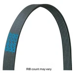 Serpentine Belt Dayco 5050755. Fixed Price $11.95.