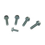Moroso 38306 Bolts, Oil Pump, Gm Ls. Fixed Price $24.80.