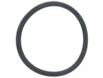 Victor Reinz 11417614770 O-ring Bmw X3 X1 528I 320I Xdrive 428I. Fixed Price $27.24.
