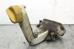 1987-1991 Porsche 928 5.0L V8 Engine Motor Oil Filler Neck W/ Cap LM94. Fixed Price $94.99.