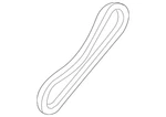 Genuine Ford Chain CM5Z-6A895-A. Fixed Price $31.38.