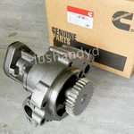 Oil Pump W/ Gasket For 3609832 Cummins 3803698 Straight Gear QSN14 NT14 3609835. Fixed Price $425.00.