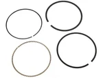 For 2004-2008 Isuzu Ascender Piston Ring Ac Delco 12781ZSNP 2005 2006 2007. Fixed Price $68.92.