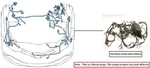 Engine Room Harness Oem 2022 Chevrolet Trailblaz. Fixed Price $250.00.