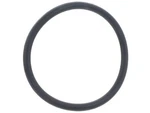 Victor Reinz 11417614770 O-ring Bmw X3 X1 528I 320I Xdrive 428I. Fixed Price $20.05.